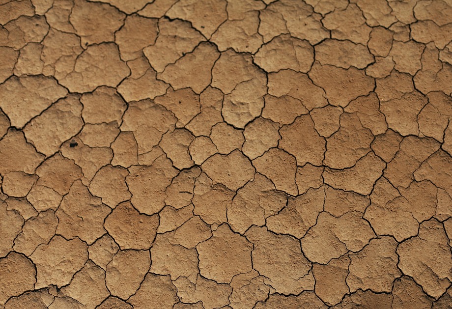 detail