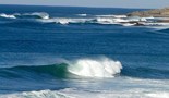 Ericeira | Reef | Pedra Branca